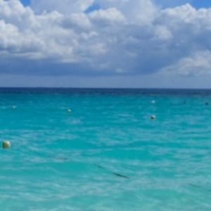 Meet your Posher, Bailey